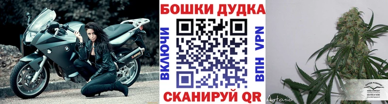 APVP Рязань