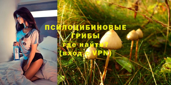 мяу мяу мука Абдулино