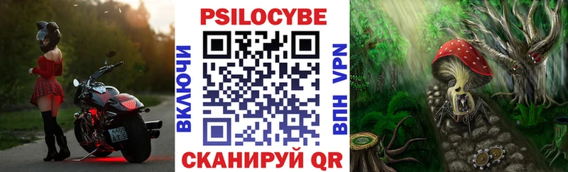 Псилоцибиновые грибы ЛСД  дарнет шоп  Рязань 